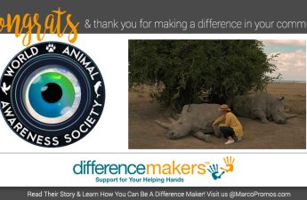 World Animal Awareness