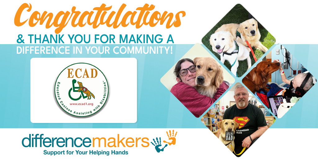 Educated Canines Assisting with Disabilities