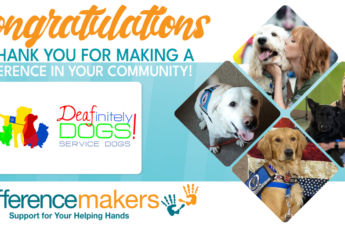 Deafinitely Dogs!